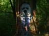 m1lkh8club Altpins Profile Picture