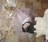 teakitten_ Altpins Profile Picture