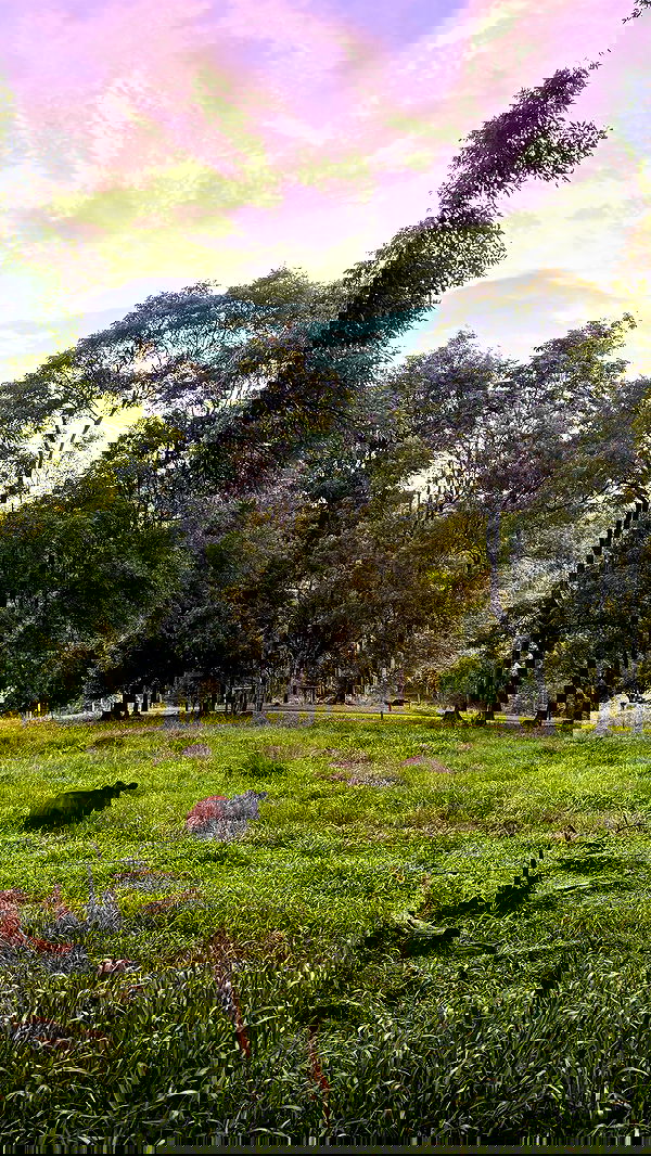 taylor.creeden taylor.creeden archive image