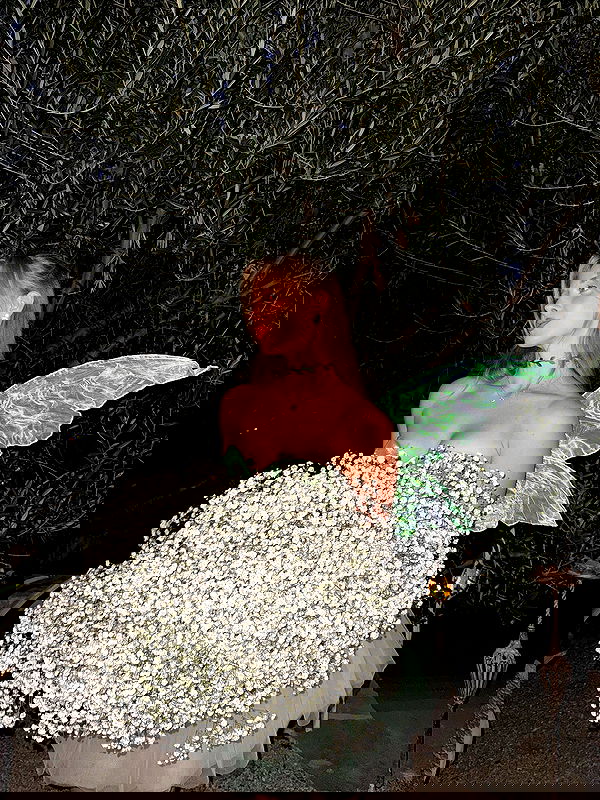 carolinezalog carolinezalog archive image