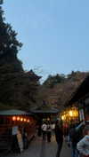 kasumi_sen Altpins Profile Picture