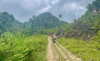 amit._.bar Altpins Profile Picture