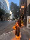 _lironatias Altpins Profile Picture