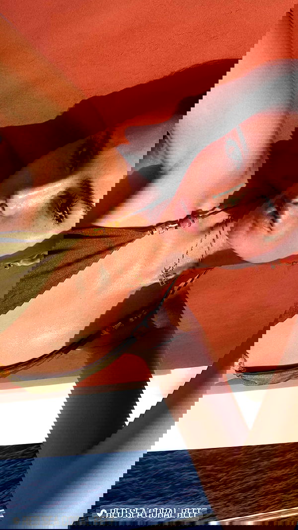 taylor.creeden taylor.creeden archive image