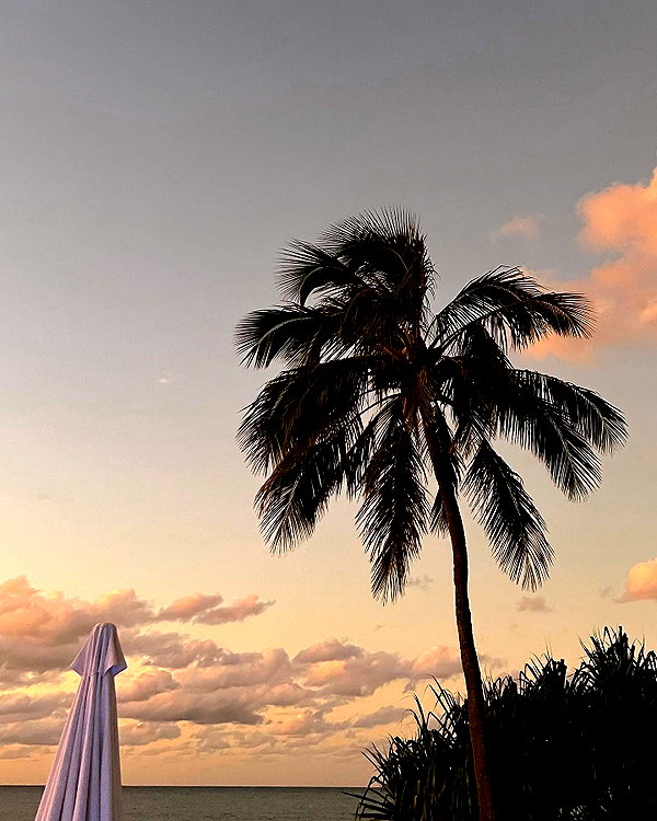 sophiebatzloff instagram image archive image