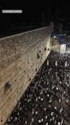 agam_nachman Altpins Profile Picture