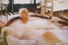 xtina Altpins Profile Picture