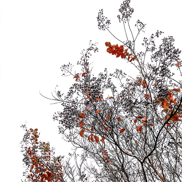 ofri.elul instagram image archive image