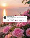 missbrisolo Altpins Profile Picture