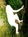 suspiria.em Altpins Profile Picture