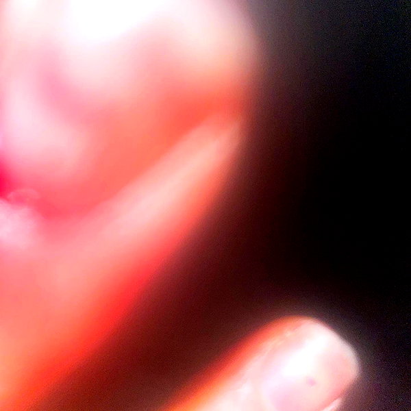 bugz4brainz instagram image archive image