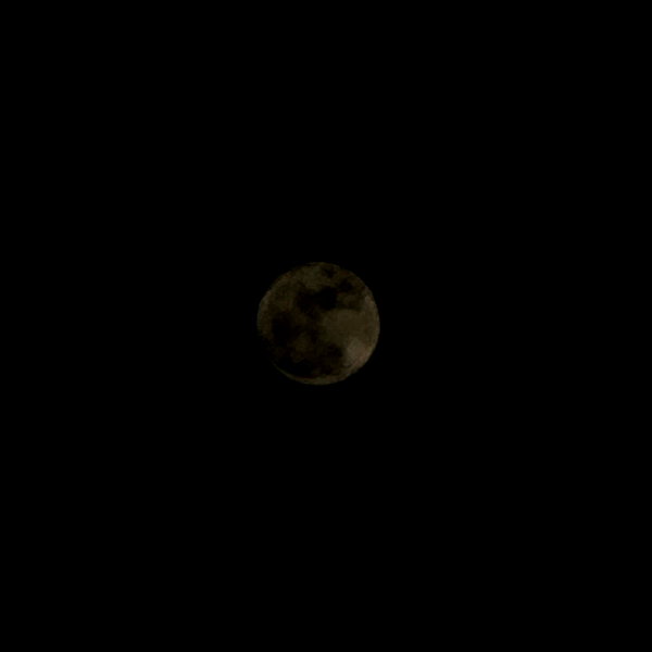 moonliliaght instagram image archive image
