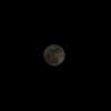 moonliliaght Altpins Profile Picture