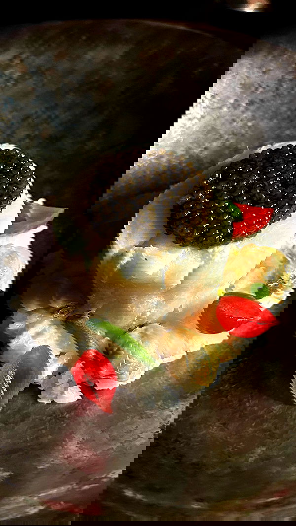 taylor.creeden taylor.creeden archive image