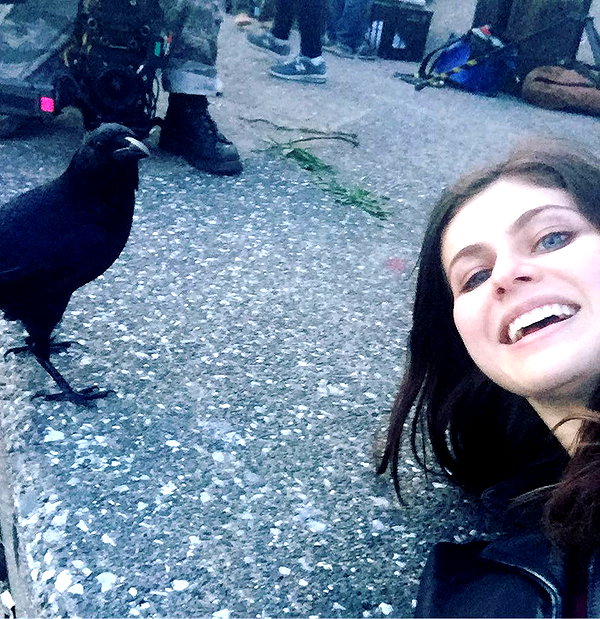 alexandradaddario instagram image archive image