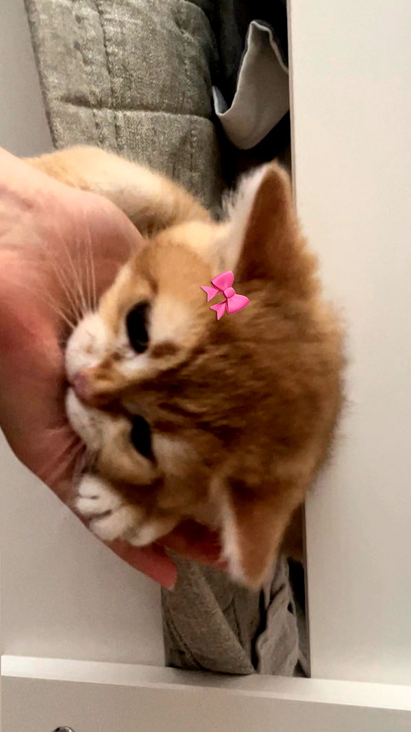 s0meii0 instagram image archive image