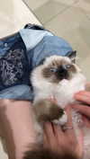 leni.bahr Altpins Profile Picture
