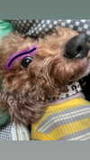 kteaworld Altpins Profile Picture