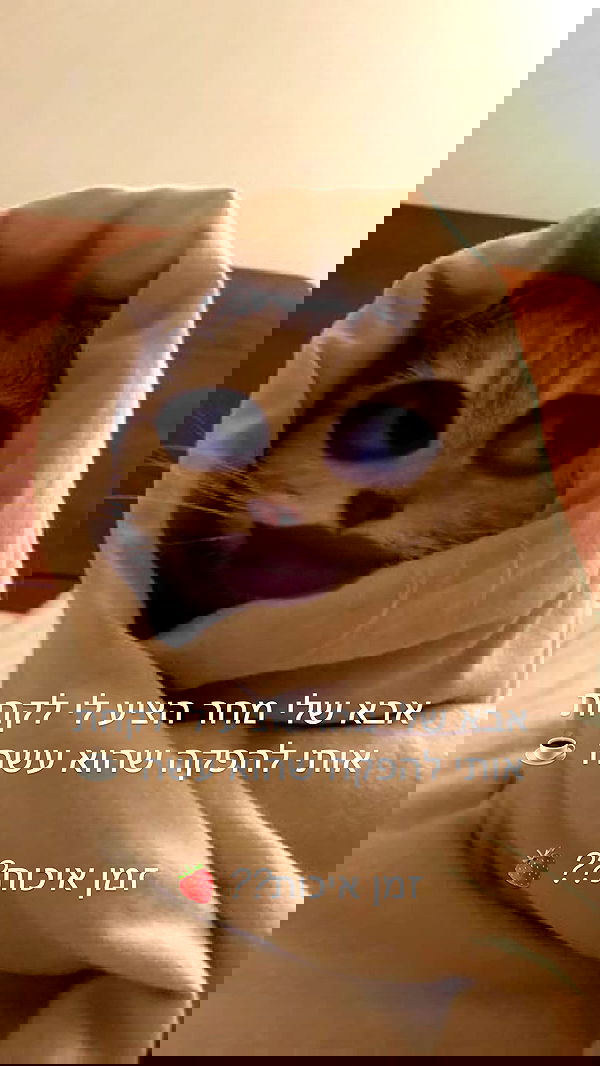 moonliliaght moonliliaght archive image