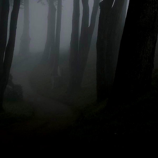 apathy.impress instagram image archive image