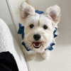 kdsrescue Altpins Profile Picture
