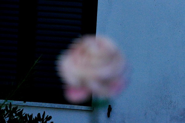 leni.bahr instagram image archive image