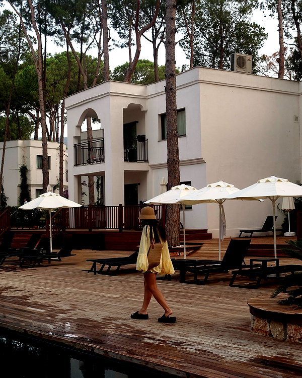 alishevs instagram image archive image