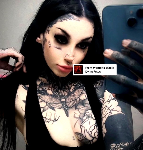 taxevasionkoala instagram image archive image