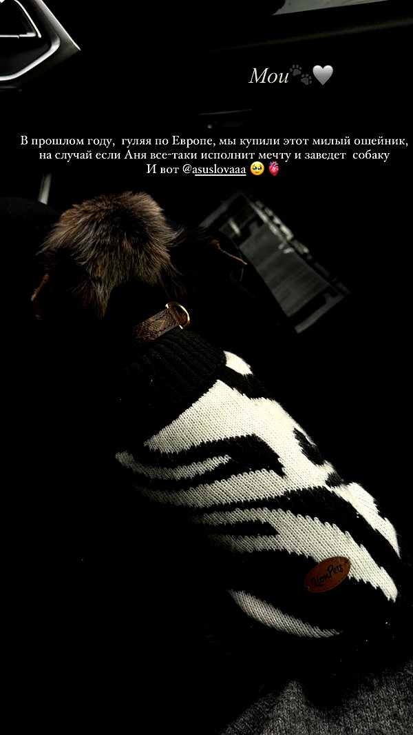 asuslovaaa instagram image archive image