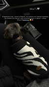 asuslovaaa Altpins Profile Picture