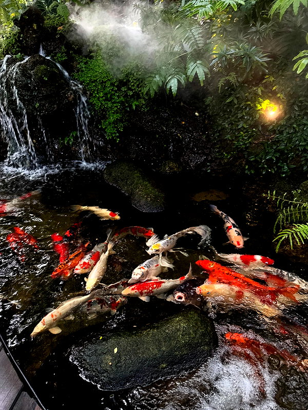 amatveyko instagram image archive image