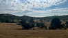 leanxhrt Altpins Profile Picture