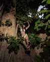 strawberryshanz Altpins Profile Picture