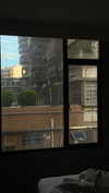 dwpolin Altpins Profile Picture