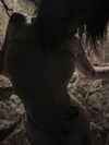 zommmbri Altpins Profile Picture