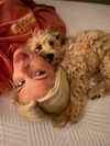 sophiecharlotth Altpins Profile Picture
