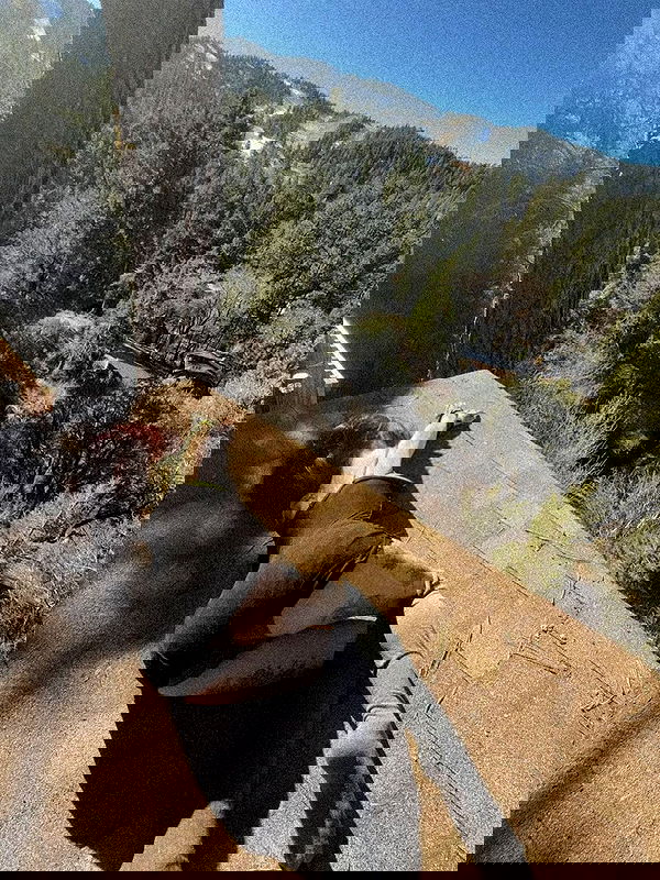 zommmbri zommmbri archive image