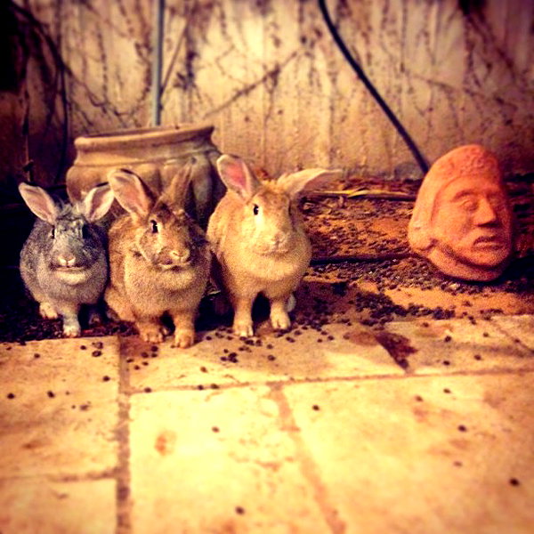 adihimelbloy instagram image archive image