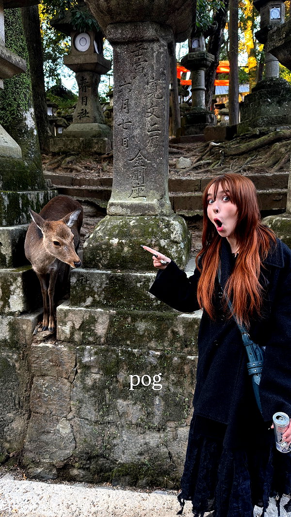 iheartpidge instagram image archive image