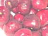 hhh.e_c.v Altpins Profile Picture