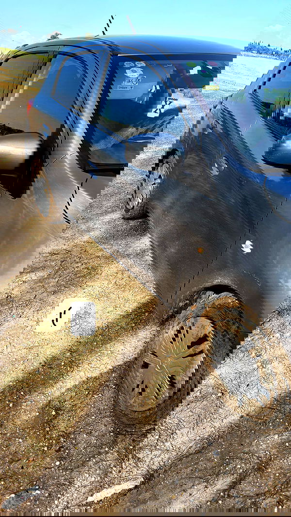 laluzone laluzone archive image