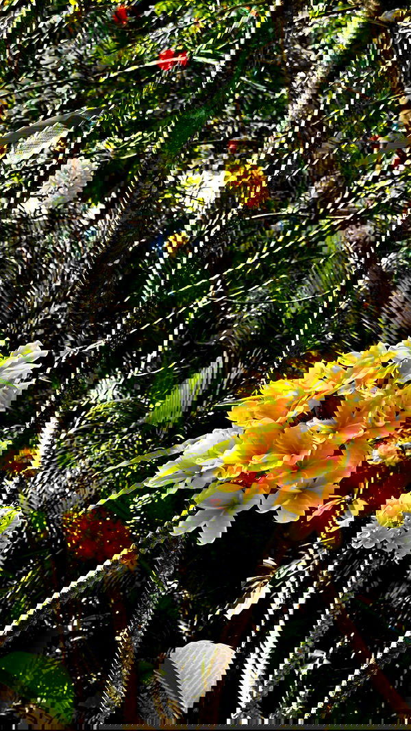 taylor.creeden taylor.creeden archive image