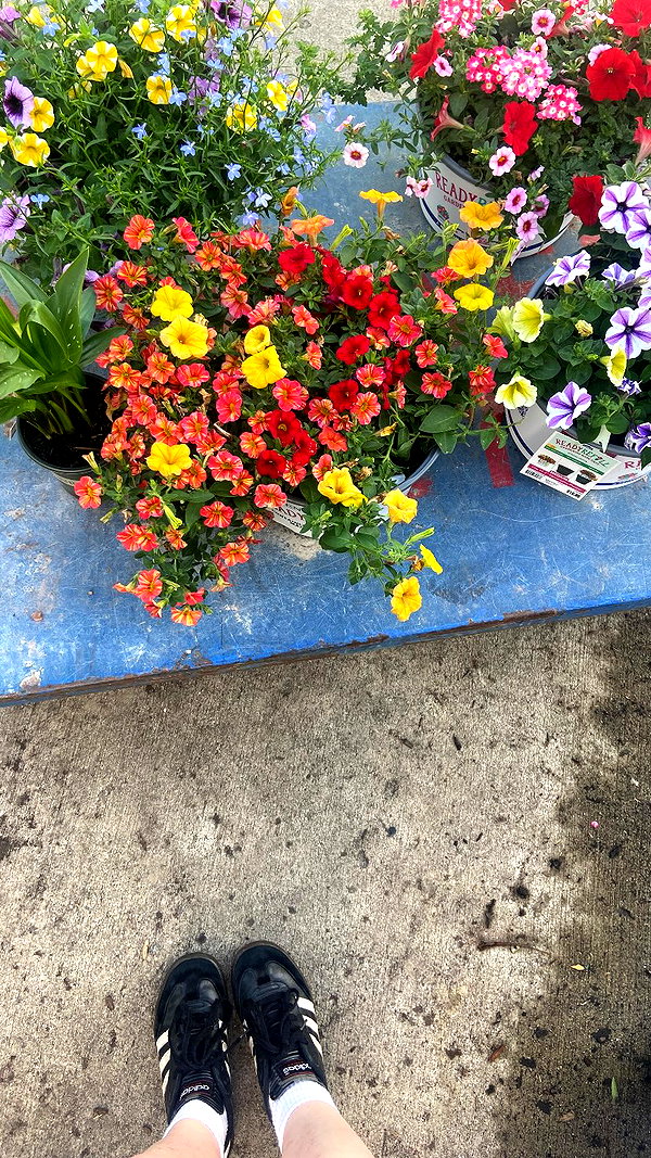 olivia.bolgerr instagram image archive image