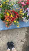 olivia.bolgerr Altpins Profile Picture
