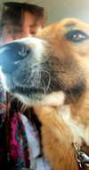 maycohen8 Altpins Profile Picture