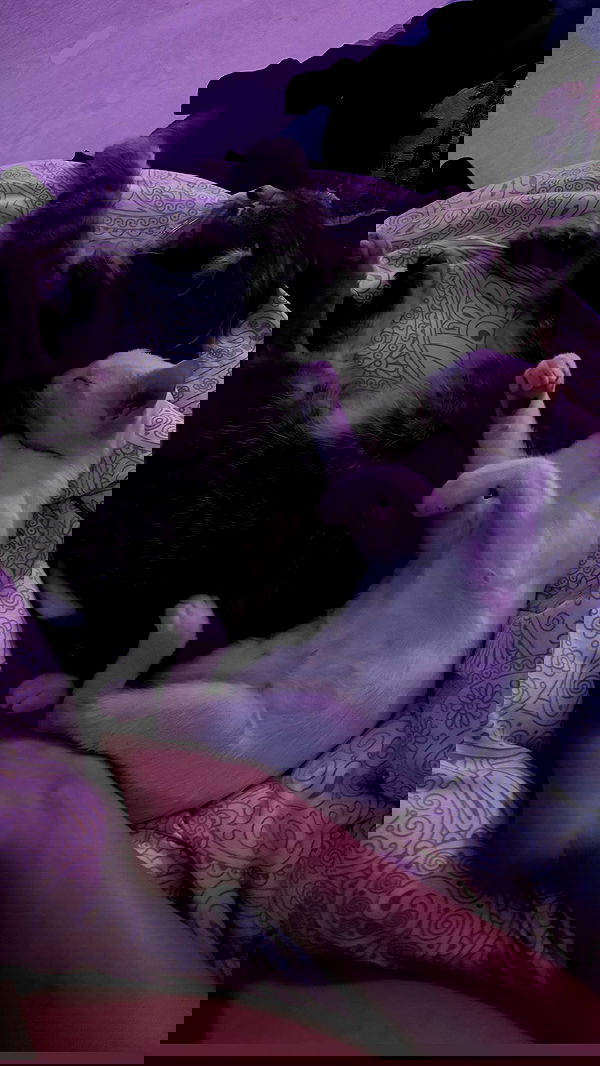 natalllluli natalllluli archive image