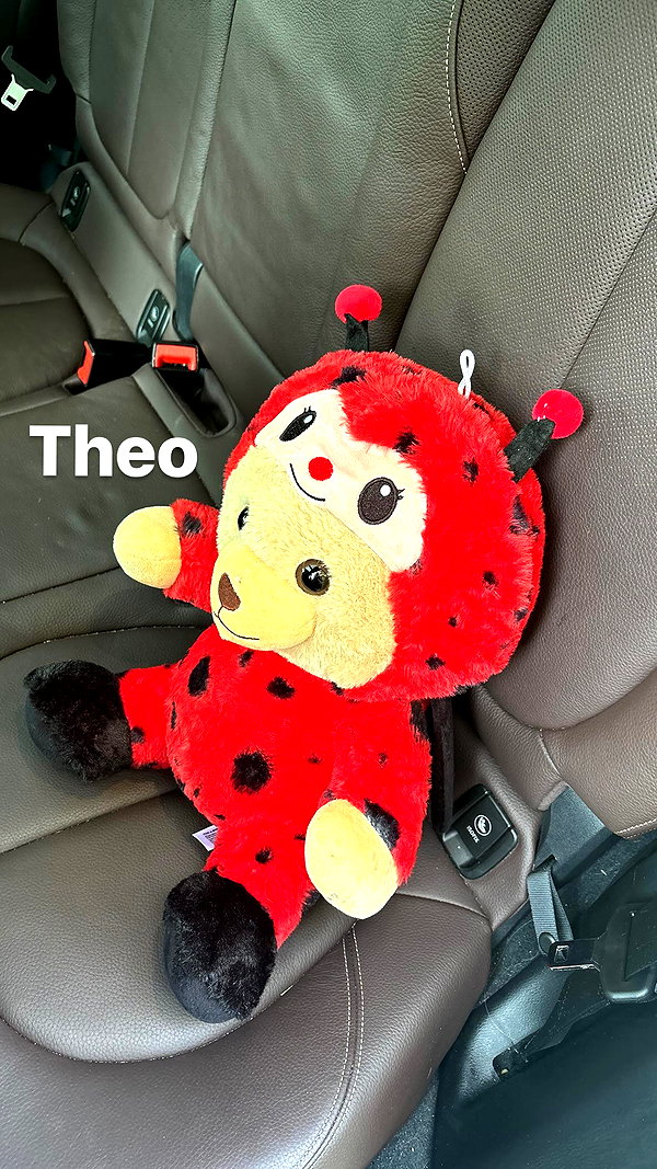 olivia.bolgerr instagram image archive image