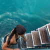 martinagiiuliani Altpins Profile Picture