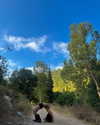 hadas_mayer_ Altpins Profile Picture