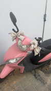 orchidmurmur Altpins Profile Picture